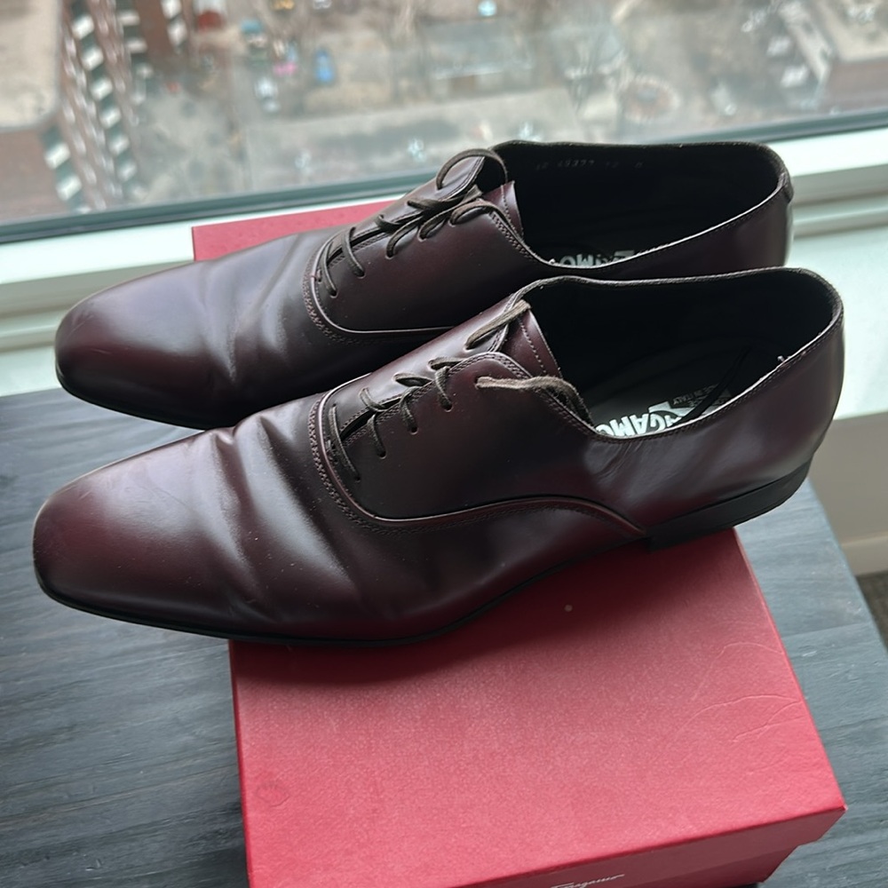 Salvatore Ferragamo Dunn Oxford Barolo 133 Calf